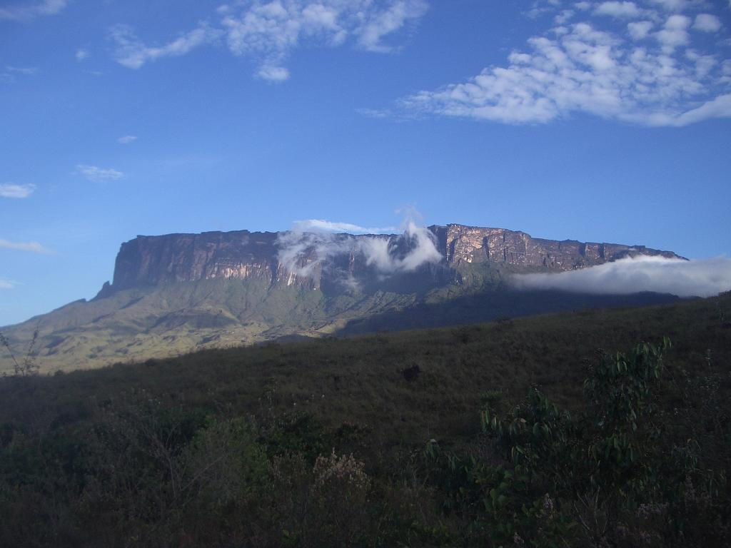 {short description of image}